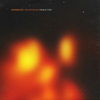 Domestic Technology - Hold You