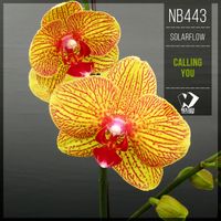SolarFlow - Calling You