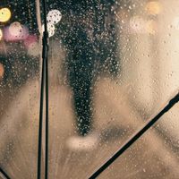 Macrogenre - Through the Rain