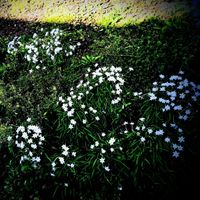 air - A distant and gentle memory