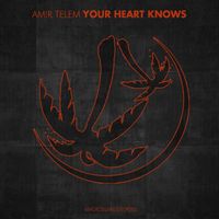 Amir Telem - Your Heart Knows