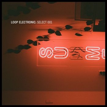 Various Artists - Loop Electronic: Select 001