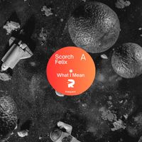 Scorch Felix - What I mean