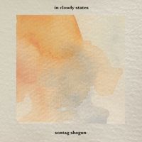 Sontag Shogun - in cloudy states