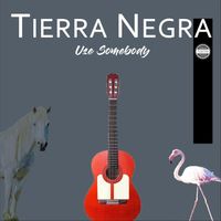 Tierra Negra - Use Somebody