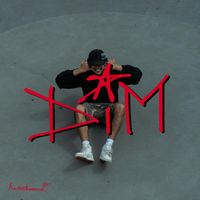 DIM - D.I.M (Explicit)