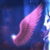 Pale Circus - Angels