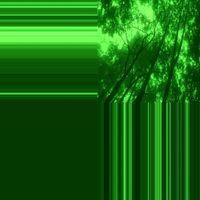Nalepa - NIGHT VISION