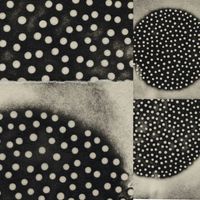K. Leimer - Muted Forms