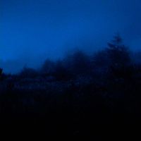 nleave - decadence