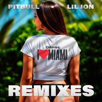Pitbull & Lil Jon - Damn I Love Miami (Remixes)