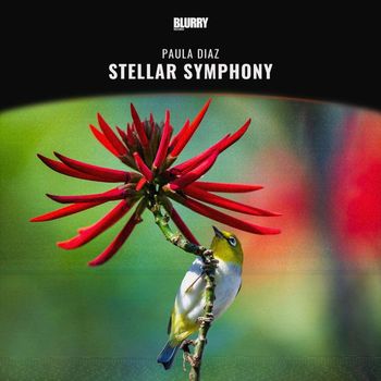 Paula Diaz - Stellar Symphony