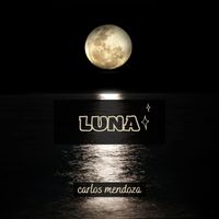 carlos mendoza - luna