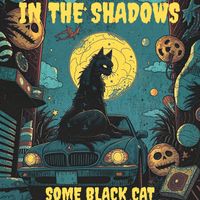 Some Black Cat - In The Shadows