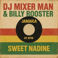 DJ Mixer Man - Sweet Nadine