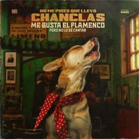 No Me Pises Que Llevo Chanclas - Me gusta el flamenco pero no lo sé cantar