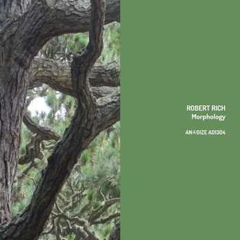Robert Rich - Morphology