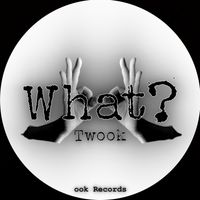 Twook - What?