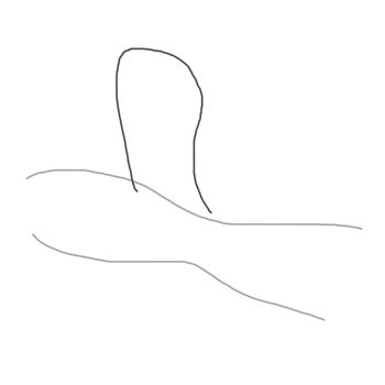 Nasara - Toraewa