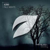Azibo - Pale Nights