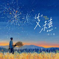 赵小童 - 岁穗