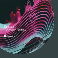 Senses - Convex Reflex