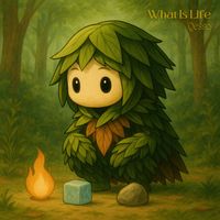 Qesso - What Is Life
