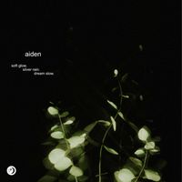 aiden - Slow