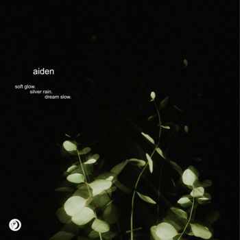 aiden - Slow