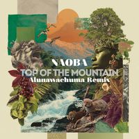 NAOBA - TOP OF THE MOUNTAIN (Alunawachuma remix)