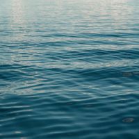 ICEBERG - Thinner (Willverine Remix)