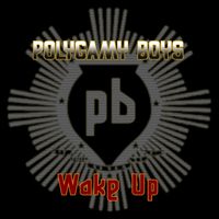 Polygamy Boys - Wake Up