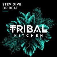Stev Dive - Dr Beat (Extended Mix)