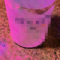 LXR - i only try for her (Explicit)