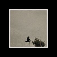 bry - hw25