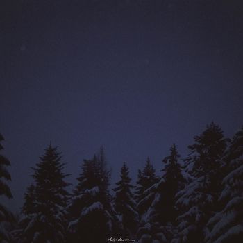 tu - desiderium