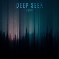 Deep Seek - Adapt