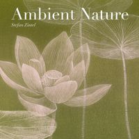 Stefan Zintel - Ambient Nature