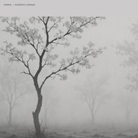 RZNBAM - Wonderful Morning
