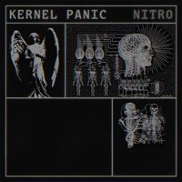 Nitro - KERNEL PANIC