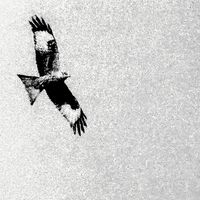 MYLO - PROJECT END OF 13.25.12.15 (Explicit)