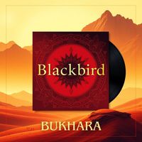 Blackbird - Bukhara