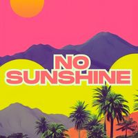 Crazibiza - No Sunshine