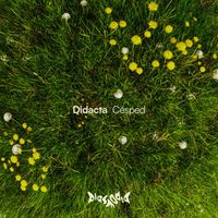 Didacta - Césped