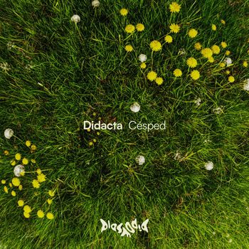 Didacta - Césped