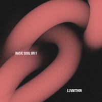 Basic Soul Unit - Luvwithin