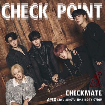 APEX - Take1 : CHECK POINT