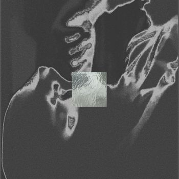 Dasco - chaosfürzwei