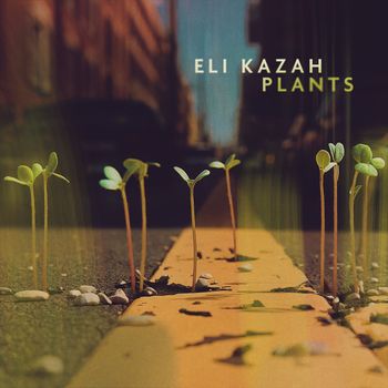 Eli Kazah - Plants