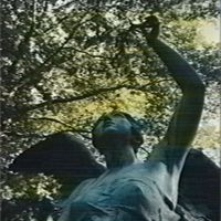 The Violent Youth - tsvety